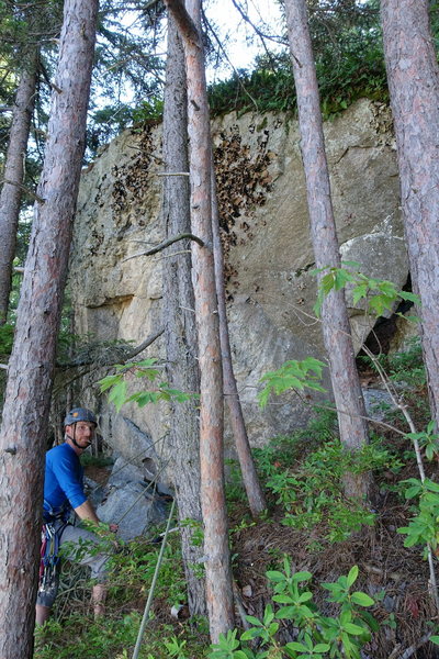 DLM, P6 anchor. Big boulder in the trees.