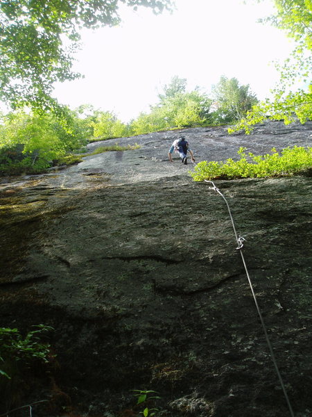 Cruising "Lichen It"