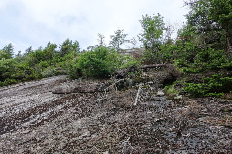 Toe of the slab. The bottom part is dirty. You can avoid it by scrambling up on the right to a nice ledge.