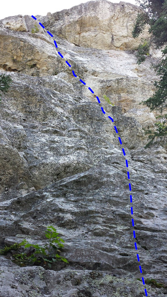 Thrombose 5.9