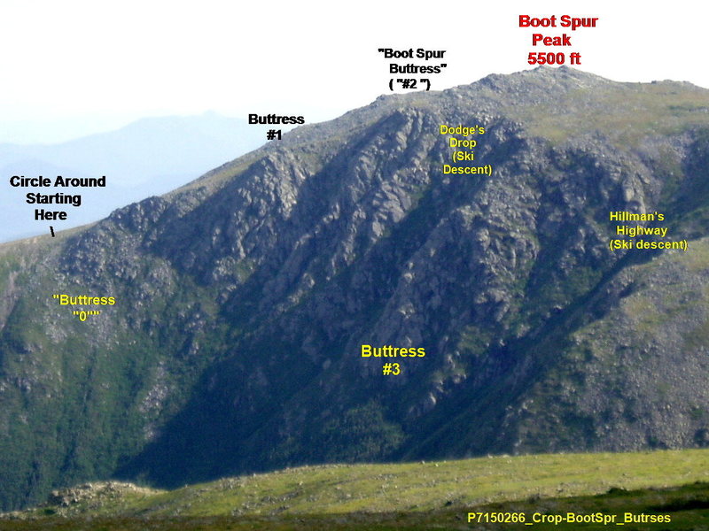 Boott Spur Buttresses as Viewed from Alpine Garden Trail, near the Lion