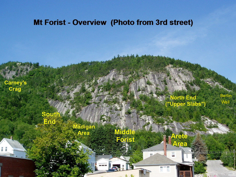 Mt Forist Overview