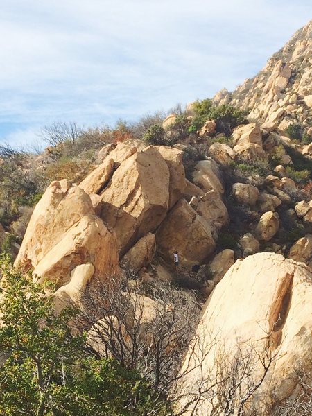 Looking up from the base.