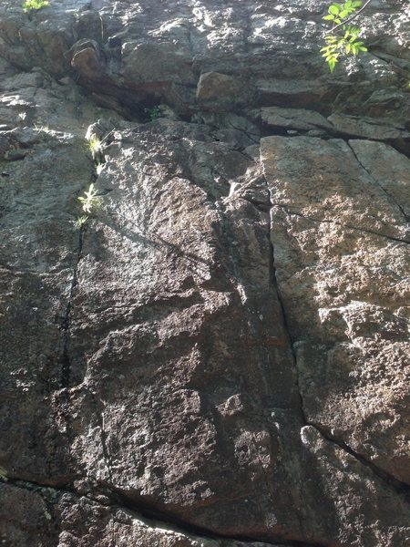 The start of Balance Queen as viewed from the ground. It is the right finger crack that leads into two bolts above.