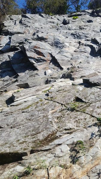 This route climbs up the sunny center of the photo