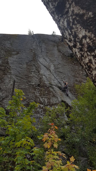 First Trad Lead