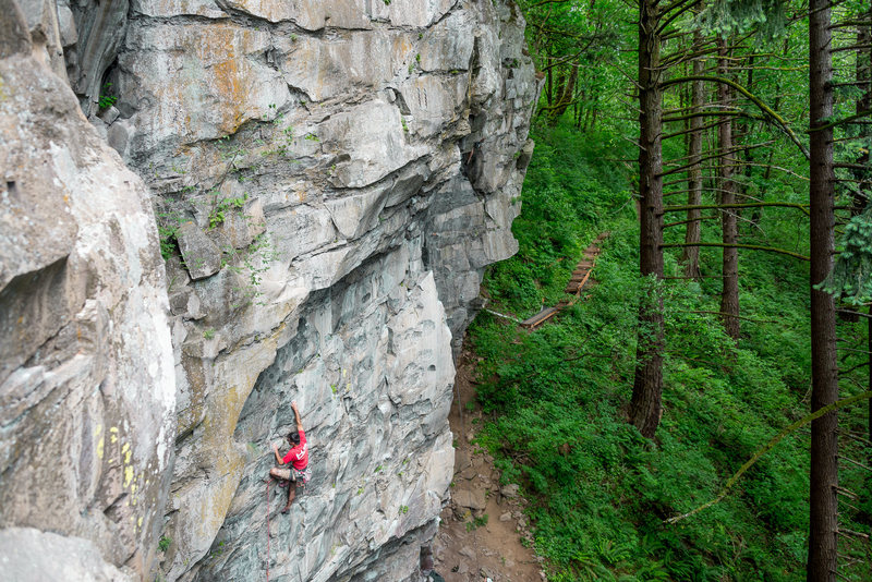 Sean da Costa on Tofutti. @cruxpunks