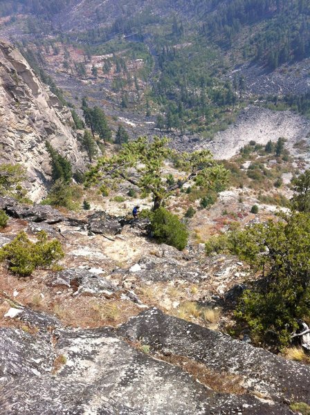 This is the "Big Bonsai Tree" where you will find the two bolt rap station