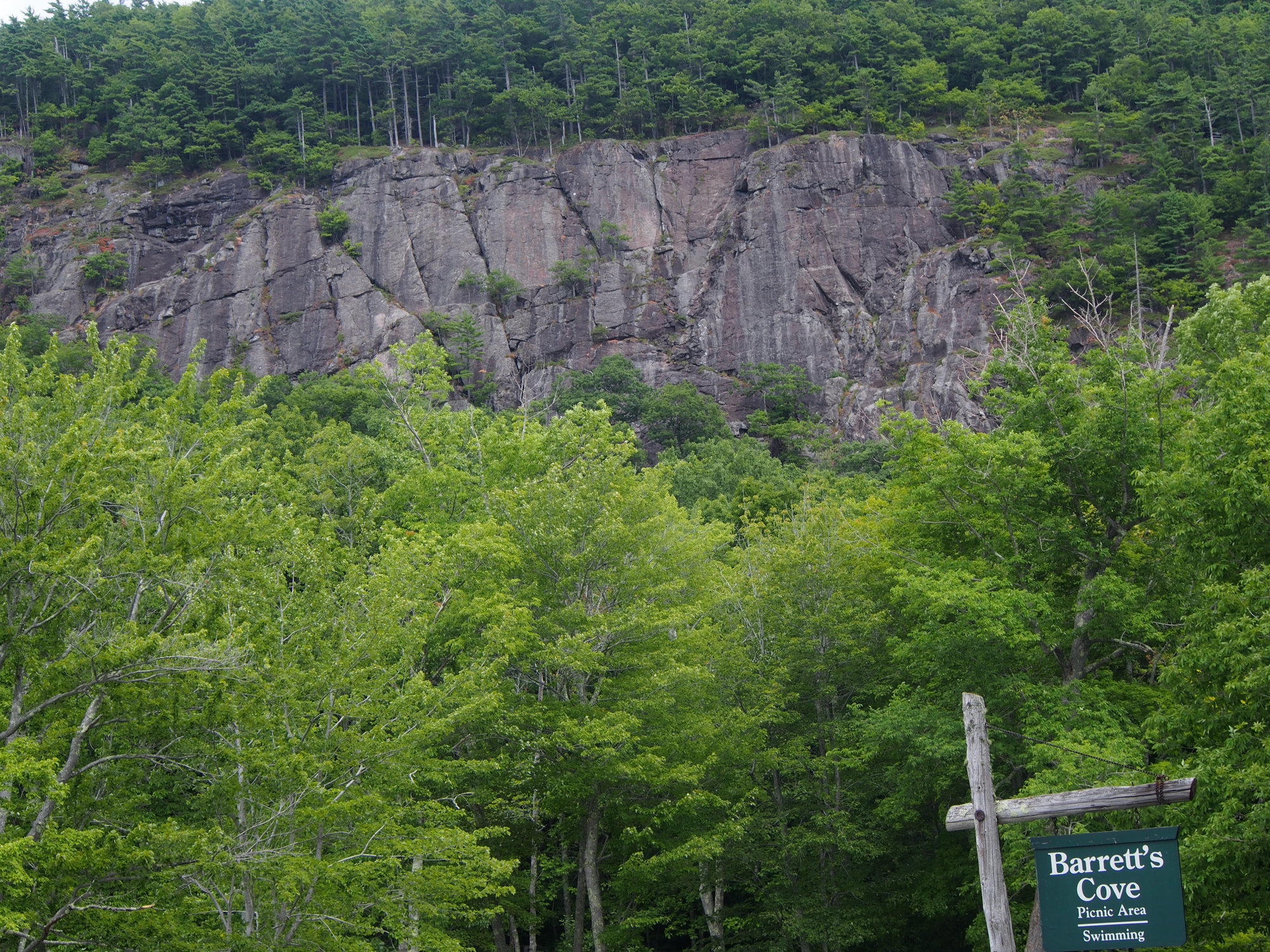 Barrett's Cove Cliff from Barrett's Cove (bottom 80100 ft hidden by trees)