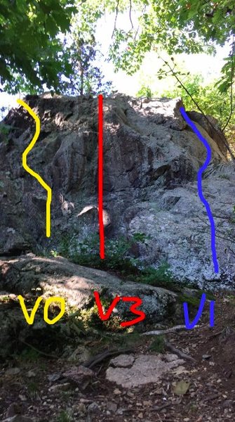 "Nectar" in yellow (V0).<br>
"Black Milk" in red (V3).<br>
"Spine" in blue (V1).