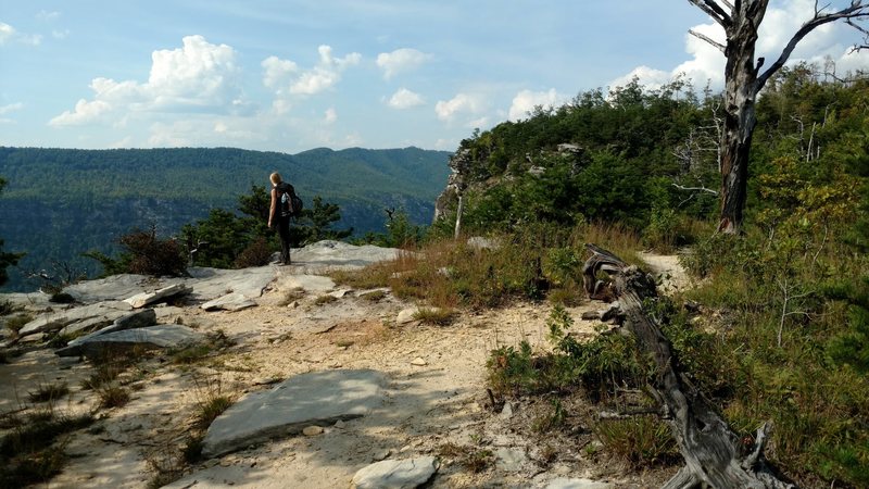 This is the point on the trail, about 500 feet before the spring, where you can rap down if you want to avoid the first few pitches.