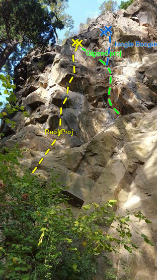 Left Jungle topo