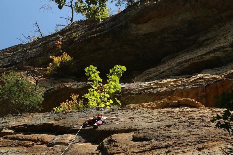 Sport climbing for the labor day week-end.<br>
Red River Gorge - Kentucky.