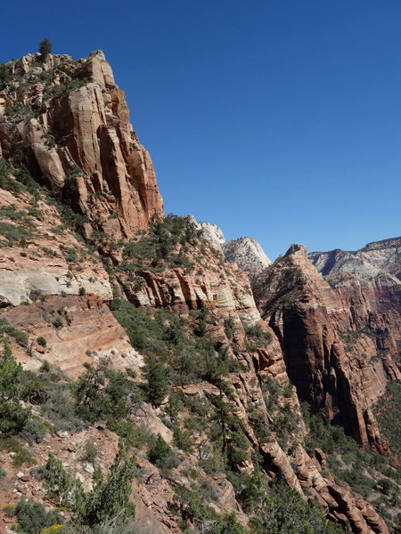 more great views