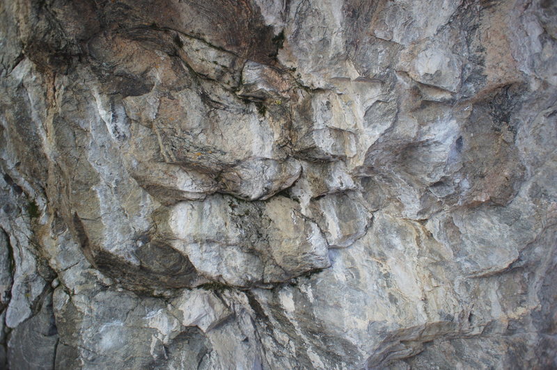 Bottom of Husky, Husky Traverse, and Bull Mastif.