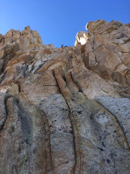 Our rope winding up the east face. Leader is on the midway belay ledge out of sight. The tree in the notch is about 70m up.