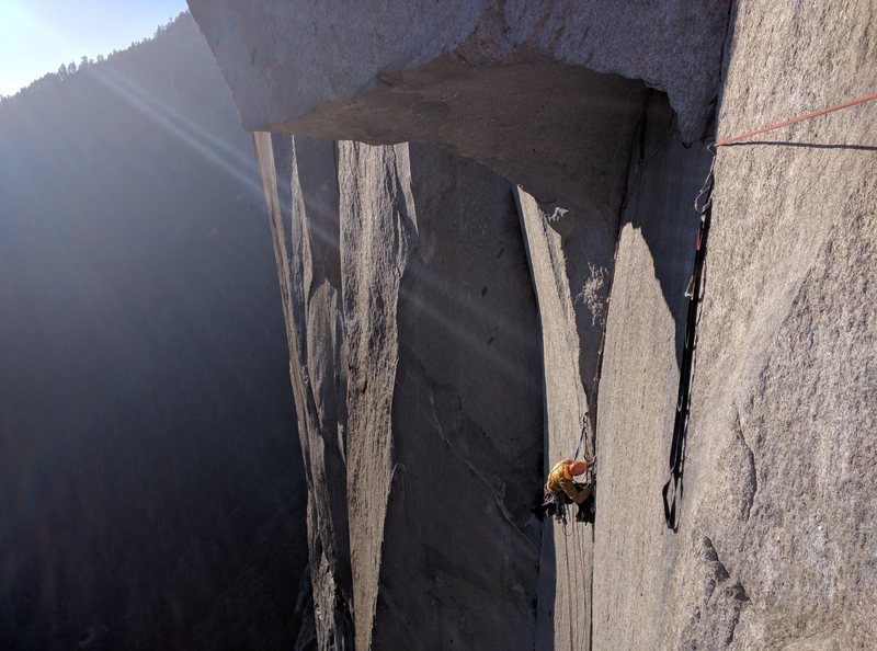 Great Roof. Photo by Stephen Guyette.