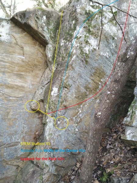 Layback for the Pack is shown in red.