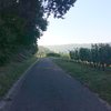 beginning of the approach hike on asphalted road by the vineyards