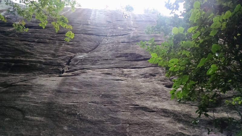 My grandson surveying the crux of Good Intentions on toprope.