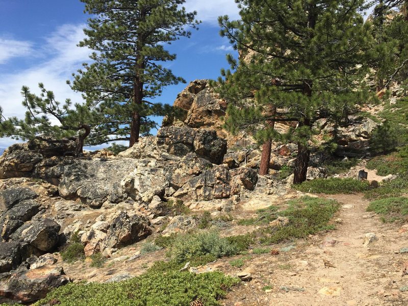 Immediately after the Castle Gates boulders you can see this summit. Head toward this and you're on your way to the turnoffs for Central Gully and West Gully. Keep toward it instead of turning off and you'll find yourself stepping up a boulder for a sweet vista!