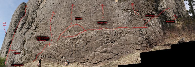 Photo of the Wolf right-side route starting locations & first/belay bolts.