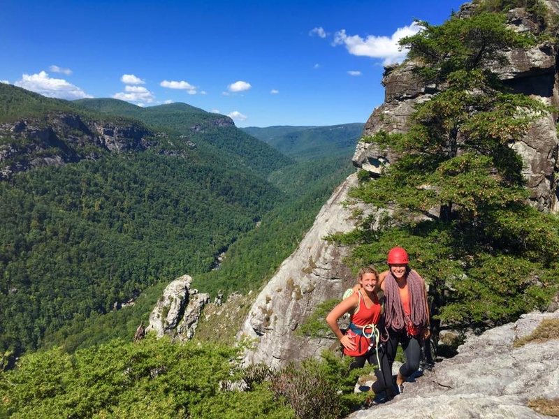 View across the gulley