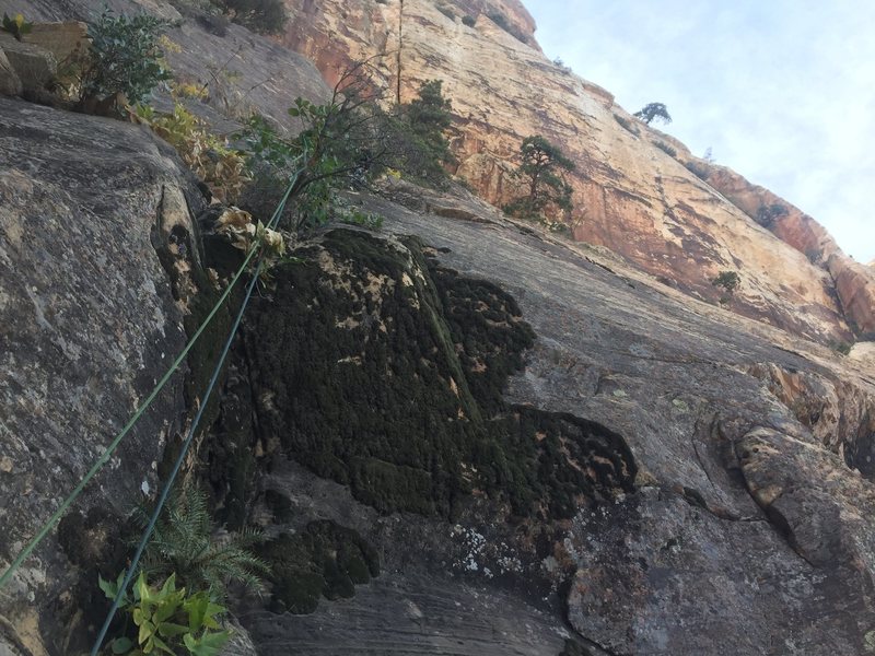 The Slab pitch, pretty fun, gear kind of spaced. Blowing the moves with blue metolius would be bad.