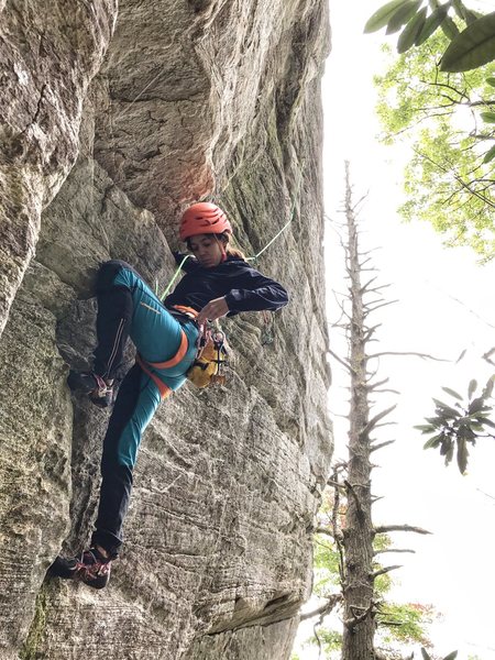 danna ray following jug route