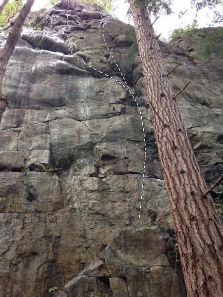 Photo shows both 'Gotta Like it', and 'F--k I love it'. Same start, shares first two bolts. Gotta Like it follows the leftward crack, where as FILI goes straight up at a bulge.