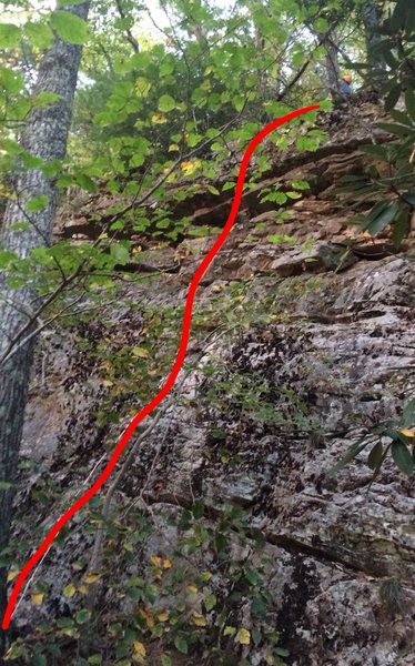 Not Lichen It Lovin It 5.6<br>
<br>
A Little bit tough to see because of the trees but a fun route. You can see my orange helmet at the tree I rapped from.