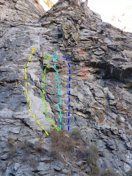 Solid Gold (P1) - yellow.<br>
PTO - green.<br>
Oyster Bar - teal.<br>
Creek Nation - blue.<br>
Project - red.