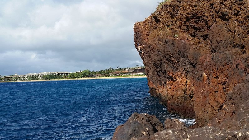 Finishing Nesting In the Gallows 9+, The Backside, Maui (DWS)