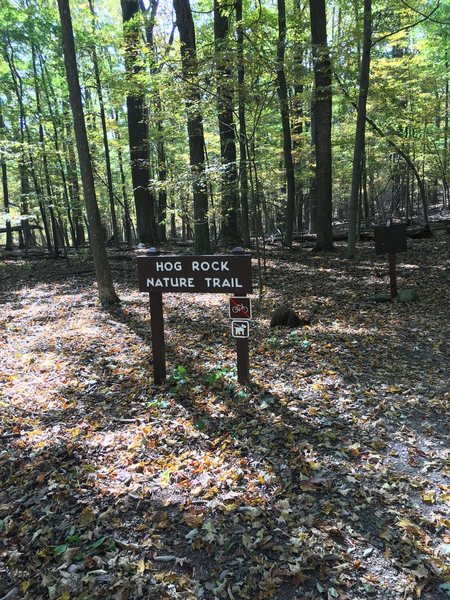 This sign marks the Hog Rock Nature Trail trail-head.  It is directly across the street from the parking lot.