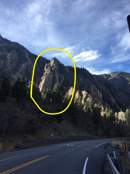 Dead snag from the road above the storm mountain parking area