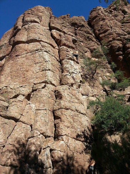 Ali in the 3rd ascent of Ali cat