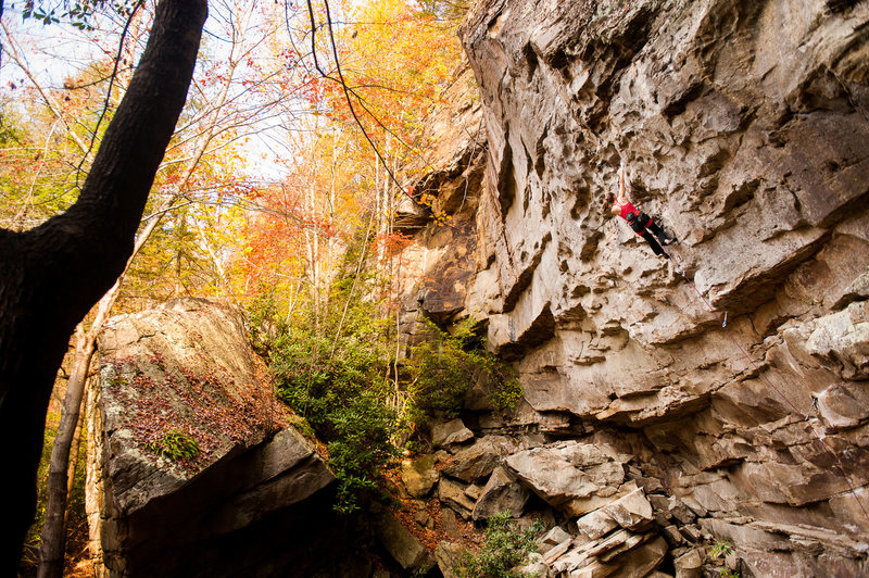 Fall Line in the fall. Photo by Dan Brayack.