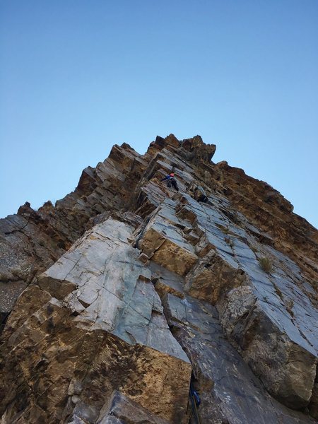 Looking up pitch 2