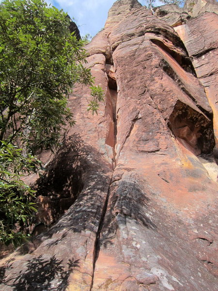 topo
