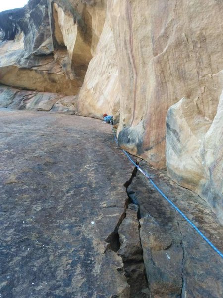 3rd pitch of Truffala Tree, 4th if you count Jumanji