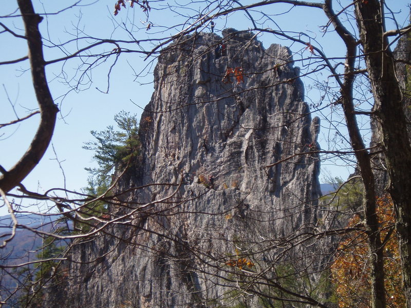 East face of the south summit. Unknown climbers on Gunsight direct(rt side) and Orangeaid.