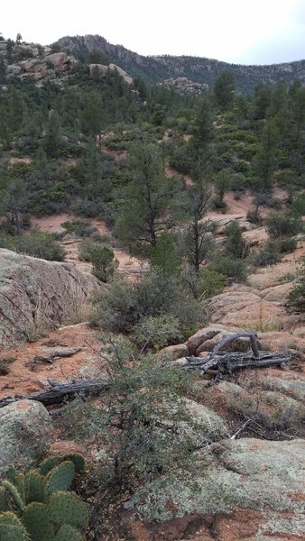 As you arrive from the east on the South Boulders Loop Trail (at center of photo) you will be below Ashley's Block, south of trail. It is about 1.5 miles from Phoenix Street trailhead.