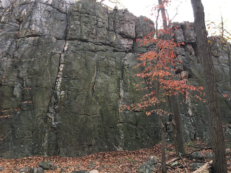The Main Wall at Wolf Rock<br>
Catoctin Mountain Park, Maryland