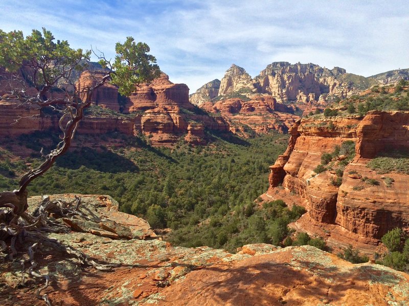 Rock Climbing in Boynton Canyon, Sedona Area