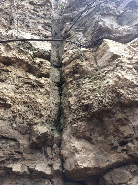 Several of these old drill scars look like they have some real cool potential.