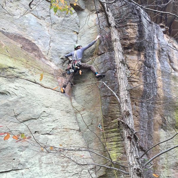 Jessie on the lower section.