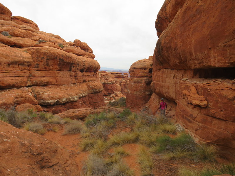 Wandering the summit plateau.