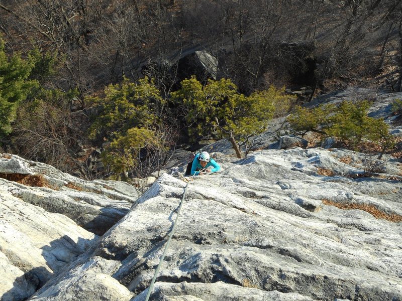 A slight variation that seriously enhances the already fine 2nd pitch. At the scratchy bush that is starting to overtake the base of the dihedral, step LEFT of this bush and climb the arete to the top. G rated, with just one move that's in the 5.5 or 5.6 range.