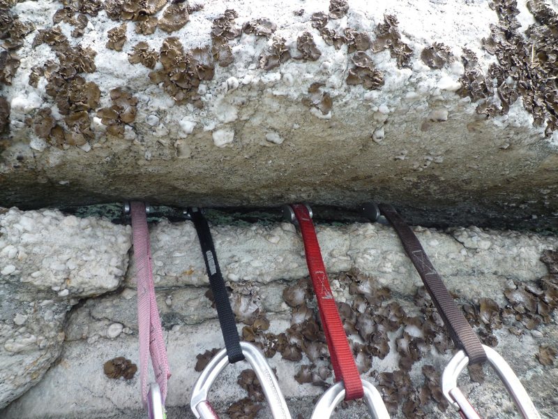 The finer points of placing Camp Tricams in their active postion