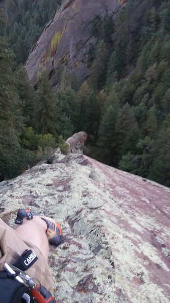 Midway up Angel's Way, Summer 2015.